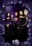 Asrai-bändin jäsenet goottivaatteissa. Kuvaa kehystää violetinväriset ruusut ja kukat.