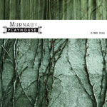 Murnau's Playhousen demon "Demo 2008" etukannessa vihreäsävyinen valokvua valkoiselle seinälle laitetuista rimpsuista. Kuvan yläosaa halkoo valkoinen palkki, jonka vasemmalla puolen bändin logo ja oikeassa laidassa demon nimi mustalla värillä.