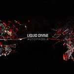 Liquid Divinen albumin "Autophobia" etukannessa musta pohjaväri ja sen keskellä vasemmalla sekä oikealla jonkinlaisia punertavia räiskyviä palikoita. Kuvan keskellä valkoisella värillä yhtyeen nimi ja sen alla vaaleanharmaalla albumin nimi.