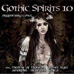 Goottimusiikkia sisältävän kokoelma-albumin "Gothic Spirits #10" etukannessa näkyy valkoiseen nuhjaantuneeseen pukuun pukeutuntu goottityttö, jolla pitkät tummat hiukset ja tuhraantunut meikki. Kuvan yläosassa vaalealla värillä lukee "Gothic Spir