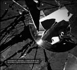 Harmaasävyinen valokuva rikkoutuneesta lasista tai peilistä, joka pirstaleina jonkinlaista tasoa vasten. Vasemmassa alakulmassa harmaan laatikon sisällä valkoisella värillä lukee IAMX:n nimi ja myös levyn "Dogmatic Infidel Comedown OK" nimike.