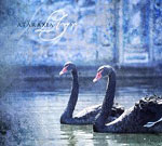 Ataraxian "Llyr"-albumin etukannessa näkyy tunnelmallinen maalausk ahdesta mustasta joutsenesta, jotka vieretysten kelluvat tyynen järven päällä. Joutsenten katseet suunnattu vasemmalle. Kuvan värimaailma on sininen ja utuinen. Sen vasemmassa yläku