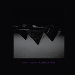Mustavalkoinen valokuva Vanity Beachin albumin "A Life of Vice" etukannessa näkyy mustat raamit ja sen keskellä ylösalaisin käänentty kuva pyramideista. Kuvan alaosassa lukee violetilla värillä yhtyeen ja albumin nimi.
