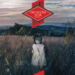 Orchestra Noirin "What If..." -albumin etukannessa näkyy valokuva kalpeasta tyttöä muistuttavasta hahmosta, joka saattaa olla räsynukke. Hahmo seisoo aavalla pellolla, jonka yllä pilvistä taivasta.