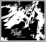 Mustavalkoinen abstrakti kuva, jossa vasemmassa alaosassa näkyy valkoisella värillä kirjoitettuna Silent Screamin nimi ja sen alla tekstattuna albumin "In the Cinema" nimi ilman lainausmerkkejä.