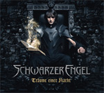 "Träume einer Nacht" -albumin etukannessa tummasta kivestä rakenenttu seinä, jonka edessä valtaistuimella istuva mustatukkainen goottimies. Kuvan alaosassa on Schwarzer Engelin logo, sen alla lukee "Träume einer Nacht".