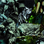 Vihertävä ja hyvin yksityiskohtainen piirros luonnosta ja eläimistä sellaisen paljouden keskellä, ettei yksityiskohdista saa selvää.