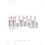 Valkoinen taustaväri, jota vasten äänipalkkeja eri korkeuksilla ja eri väreillä. Kuvan alaosassa pientä lukukelvotonta pränttiä.