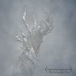 Vaaleanharmaata utua tai sumua, jonka lomassa näkyy kuollut koukeroinen ja monihaarainen puu. Kuvan oikeassa alakulmassa iVardensphere-logo mustalla.