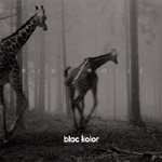 Harmaasävyinen valokuva kahdesta metsässä laukkaavasta kirahvista.