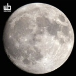 Mustaa taustaa vasten suuri harmaavalokuva Kuusta. Vasemmassa yläkulmassa valkoisella Wulfbandin logo.