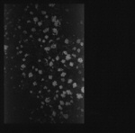 Harmaasävyinen kuva, jossa mustaa taustaa vasten vasemmalla liukuvärjätty suorakulmio, jossa satunnaisia vaaleanharmaita pisteitä ja läikkiä.