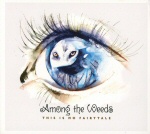 Maalaus tai piirros ihmisen silmästä, jonka pinnassa heijastuu pöllön tai muun linnun kasvot.