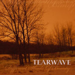 Tearwave-yhtyeen "Different Shade of Beauty" -albumin kansikuva, jossa valokuva kellertävästä metsästä, jossa lehdettömiä lehtipuita ja tummaa metsärajaa paljasta pilvetöntä taivasta vasten. Oikeassa alakulmassa valkoisella värillä sana Tearwa