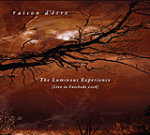 Raison d'êtren "The Luminous Experience" kansikuva. Kuvassa näkyy punertava, kellertävä, rusehtava valokuva taivaasta, jonka edessä näkyy musta risuinen oksa. Kuvan vasemmassa yläkulmassa kursivoidulla tekstillä ja valkoisella värillä bändin ni
